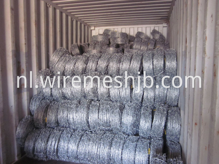 Galvanized Steel Barbed Wire